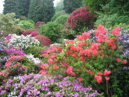 Ramster Gardens